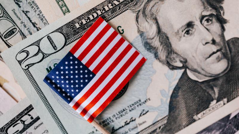History : Moments in American History - Banks, Bills and Bombast!
