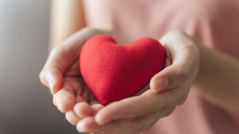 Wellness : Put Your Heart First This Valentine's : Everyday Habits For Lifelong Heart Health